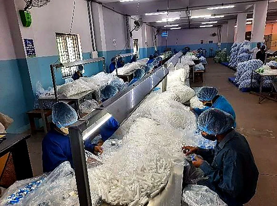 Finishing and assembly line at the Krishna Polymer Technology plant